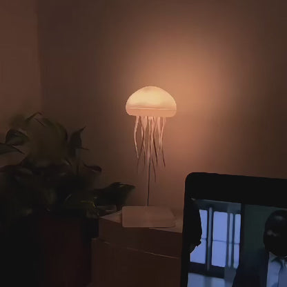 JellyLamp